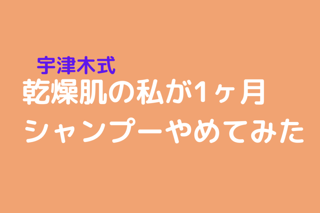 乾燥肌の私が1ヶ月シャンプーやめてみた【宇津木式】